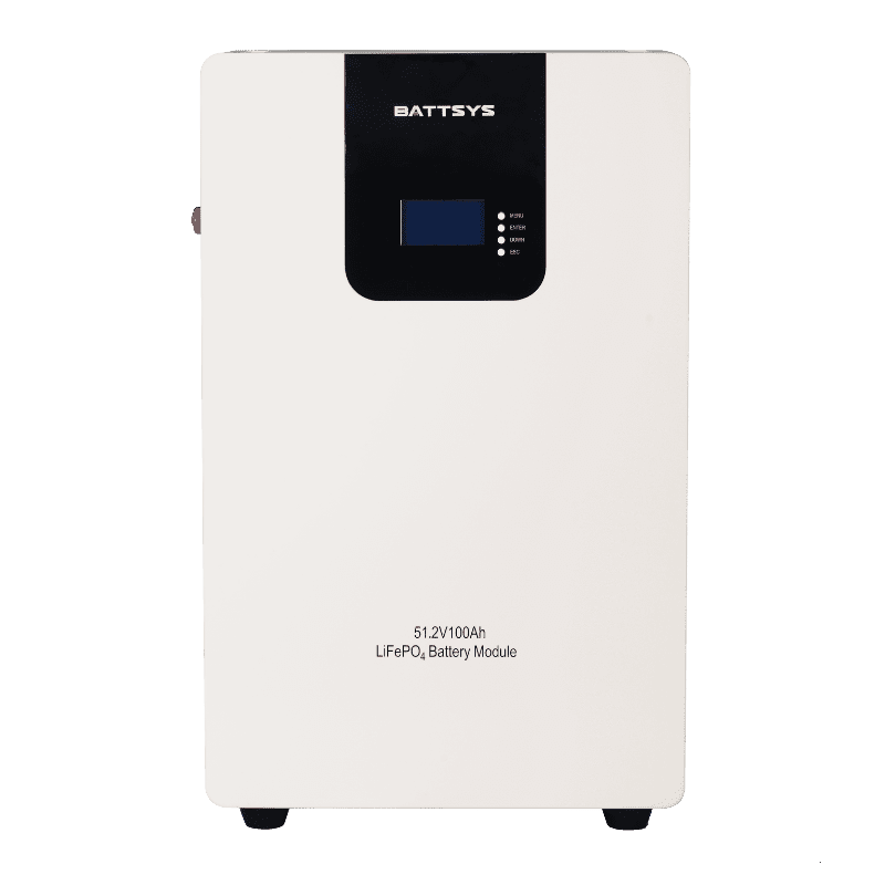  Wall Mounted LiFePO4 Battery