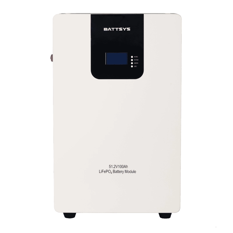 Wall Mounted LiFePO4 Battery